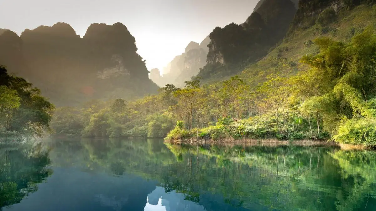 绿色绿色高端